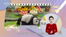 日本精品一区二区三区四区的功能